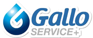 Logo Gallo Service +